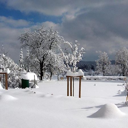 Hotel-Gasthof Sternen Winterlingen Dış mekan fotoğraf